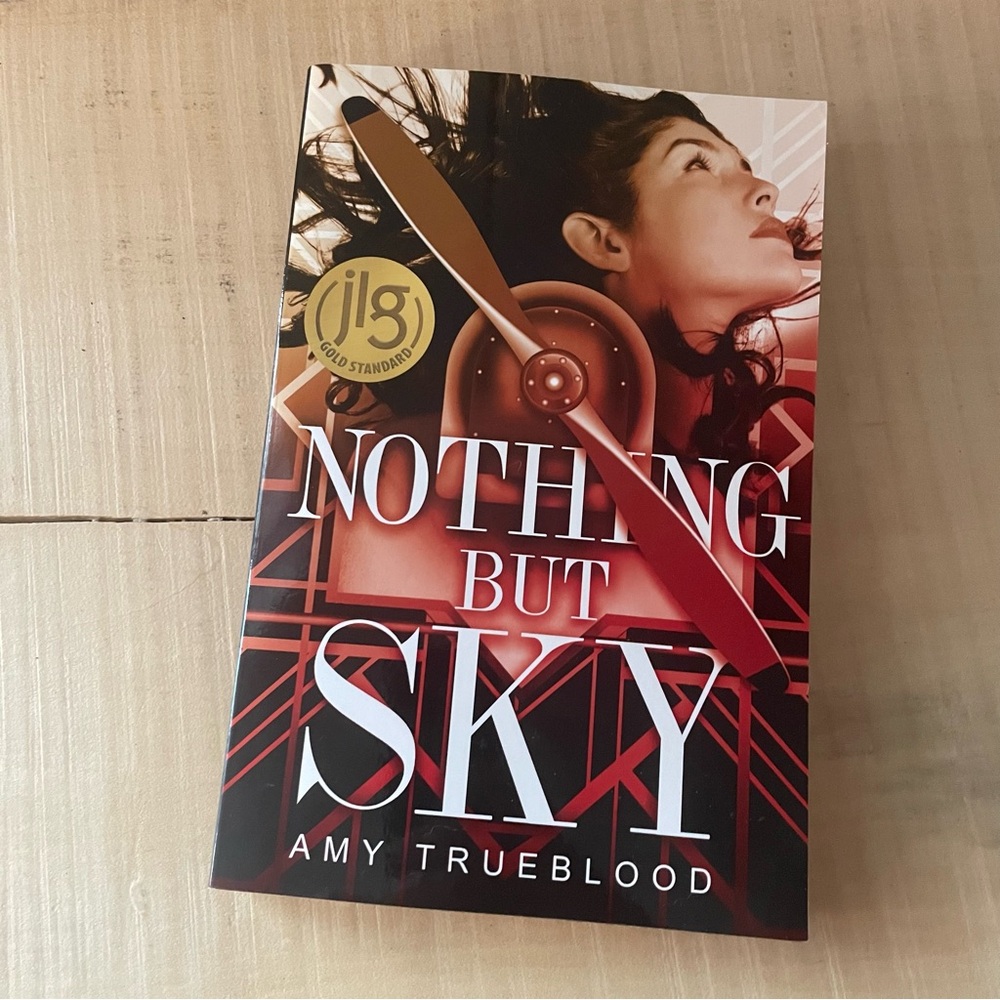 $10 SALE Nothing But Sky Paperback Book Drama Romance Historical Adventure WWI